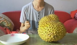 开榴莲视频