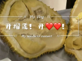 开榴莲视频