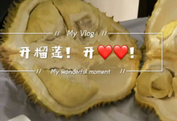 开榴莲视频