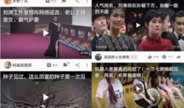 红领巾爆料吃瓜网视频,揭秘娱乐圈幕后真相