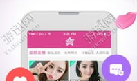 91live成人直播,揭秘虚拟世界中的激情与诱惑